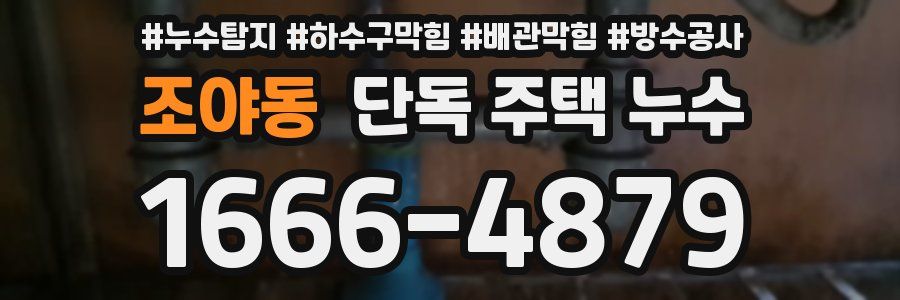 조야동 단독 주택 누수