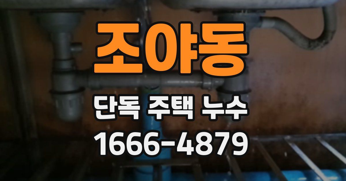 조야동 단독 주택 누수