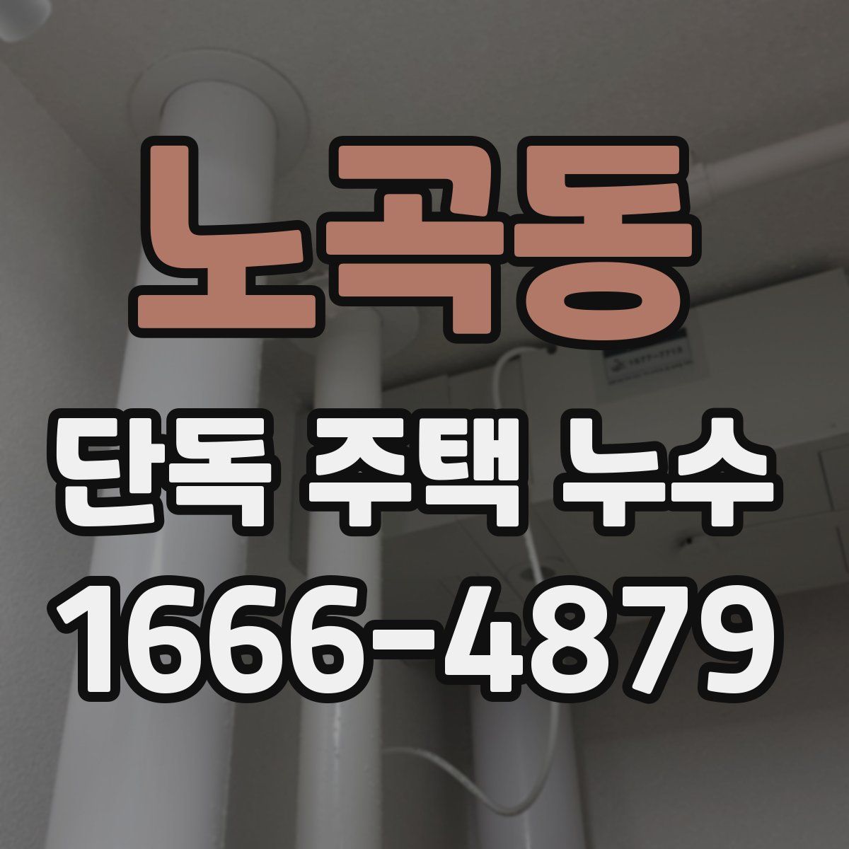 노곡동 단독 주택 누수