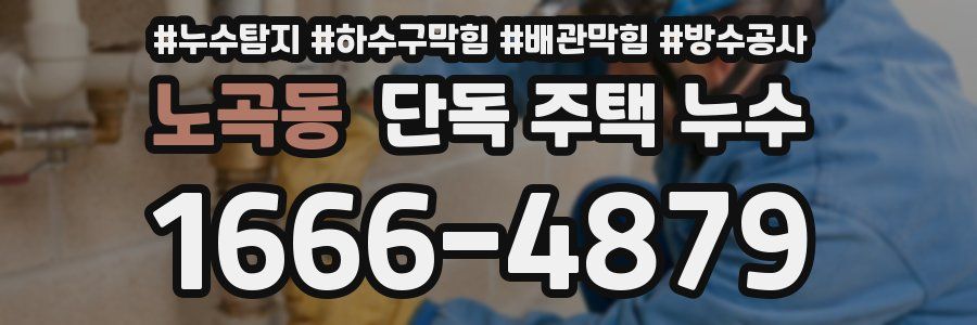 노곡동 단독 주택 누수