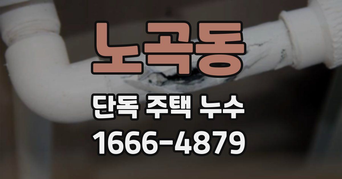 노곡동 단독 주택 누수