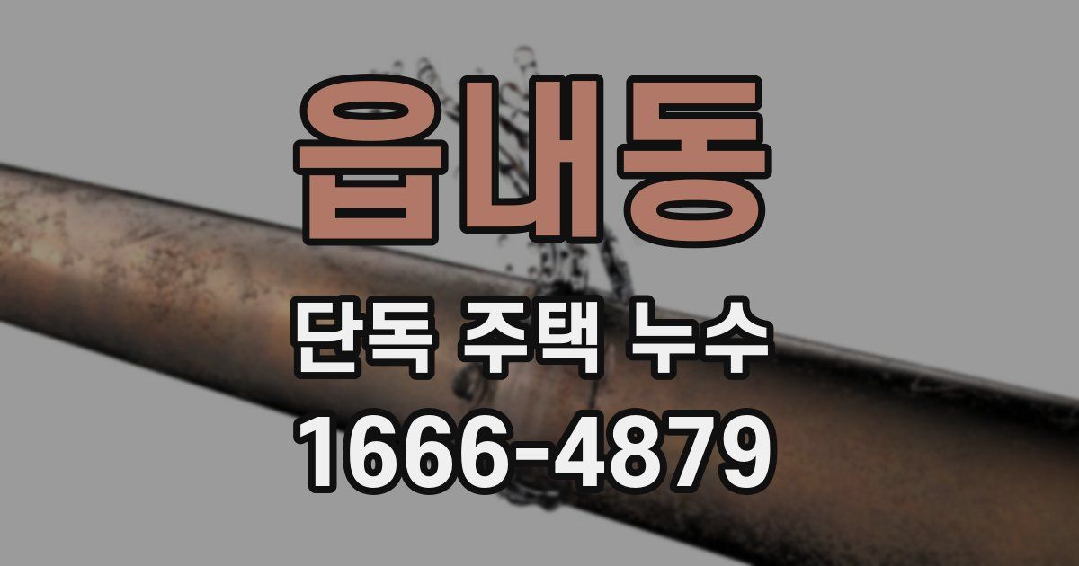 읍내동 단독 주택 누수