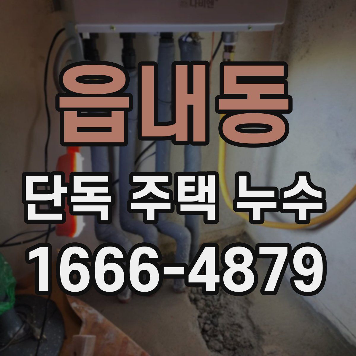 읍내동 단독 주택 누수