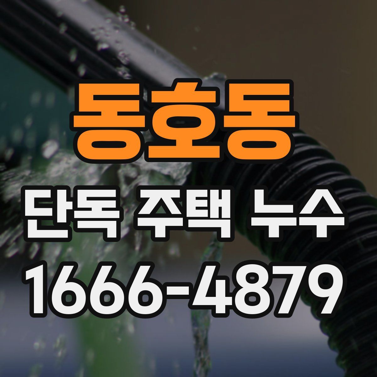 동호동 단독 주택 누수