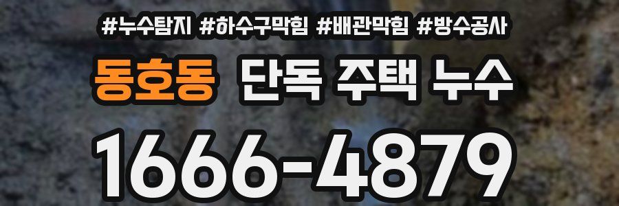 동호동 단독 주택 누수