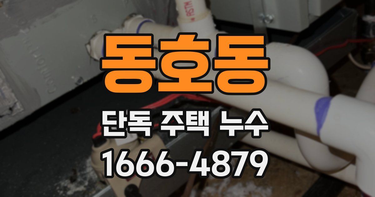 동호동 단독 주택 누수