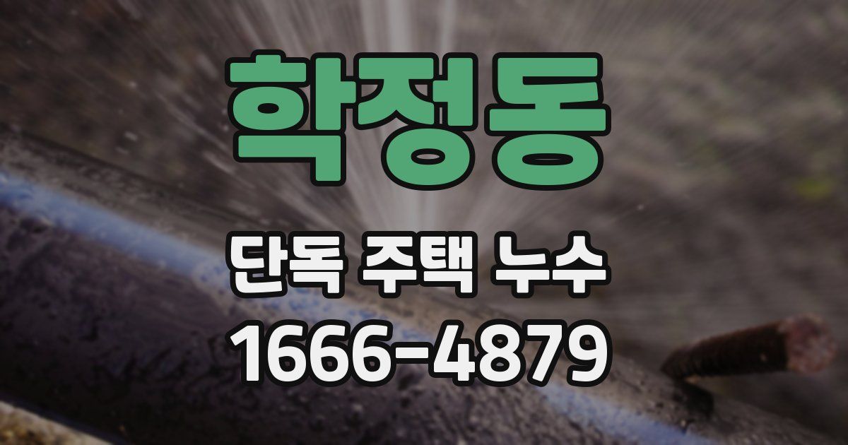 학정동 단독 주택 누수