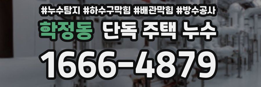 학정동 단독 주택 누수