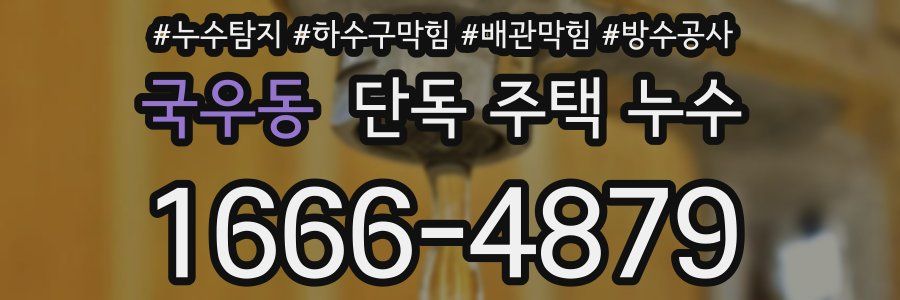 국우동 단독 주택 누수