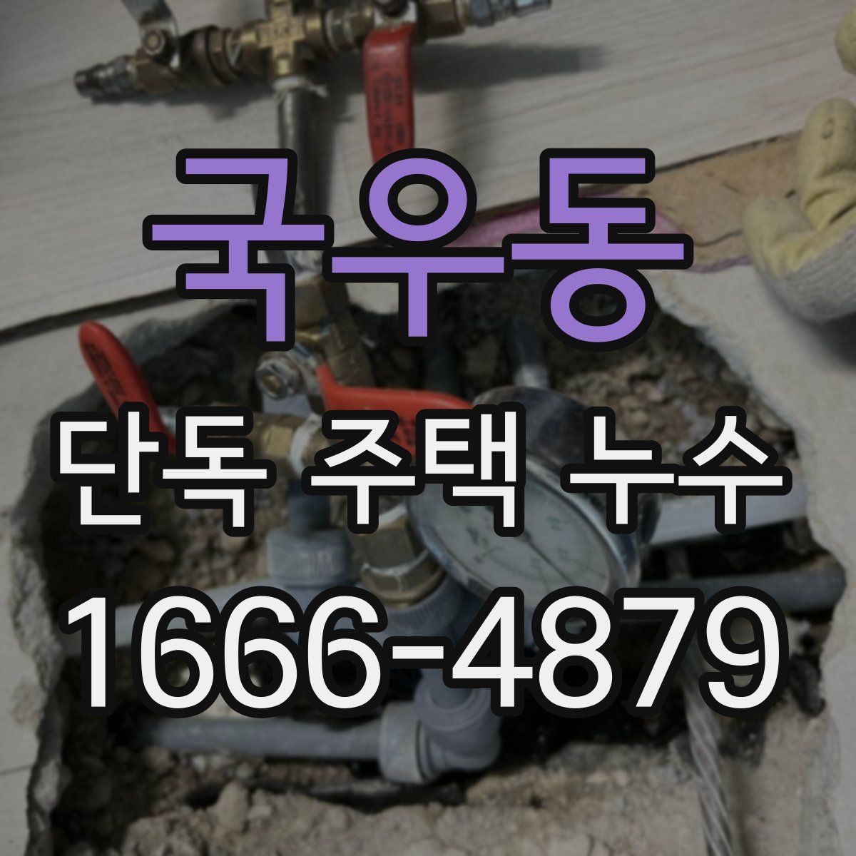 국우동 단독 주택 누수