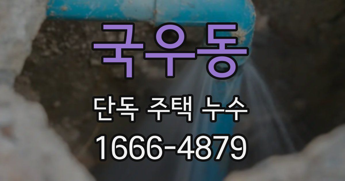 국우동 단독 주택 누수