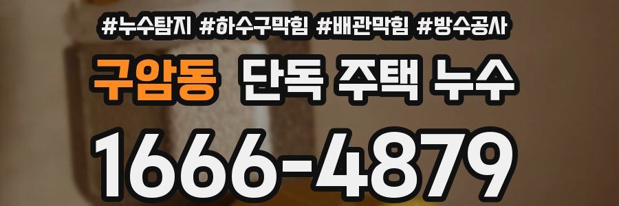 구암동 단독 주택 누수