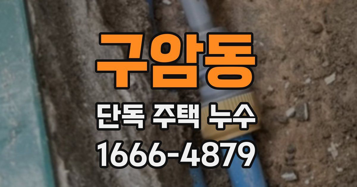구암동 단독 주택 누수