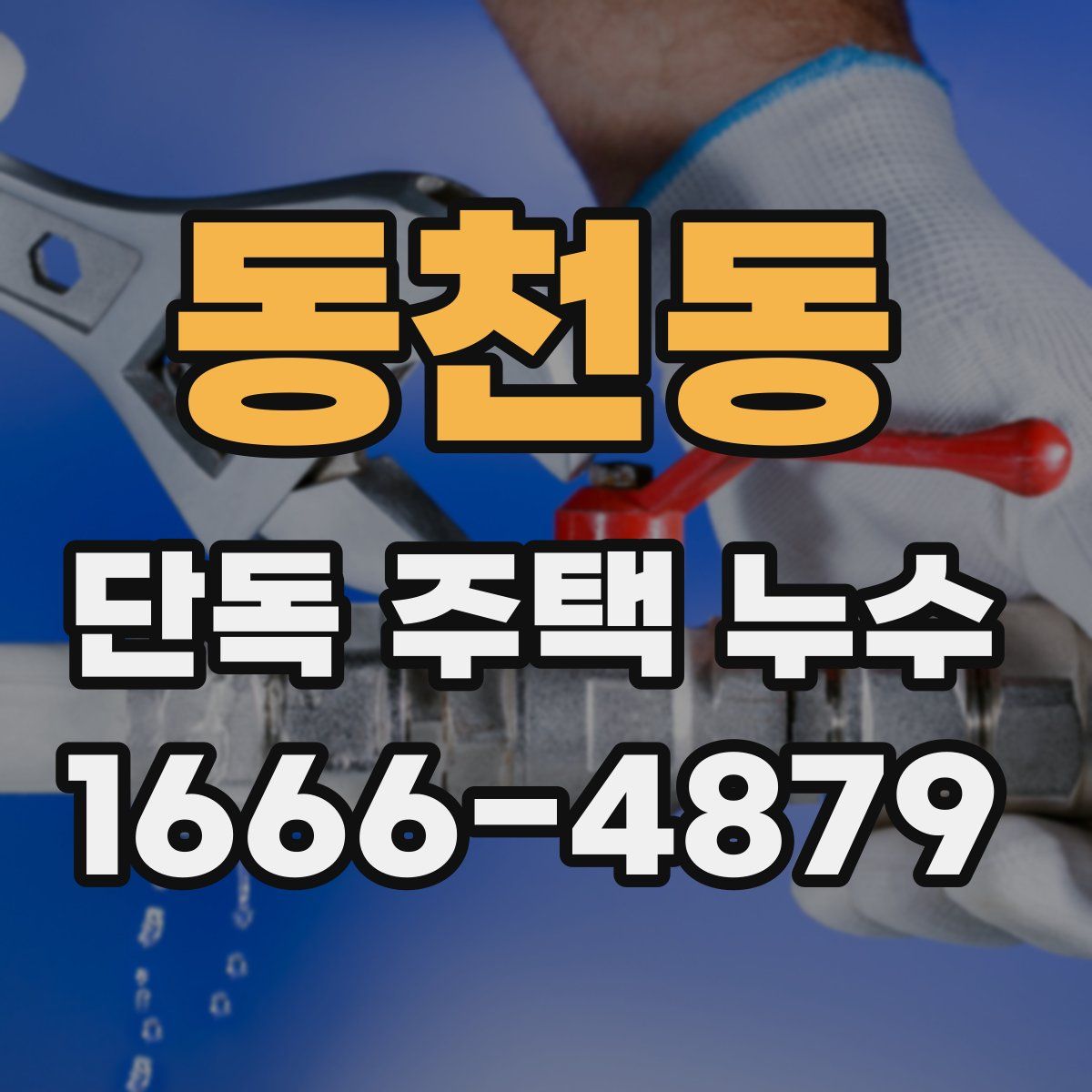 동천동 단독 주택 누수
