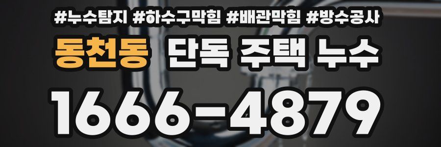 동천동 단독 주택 누수