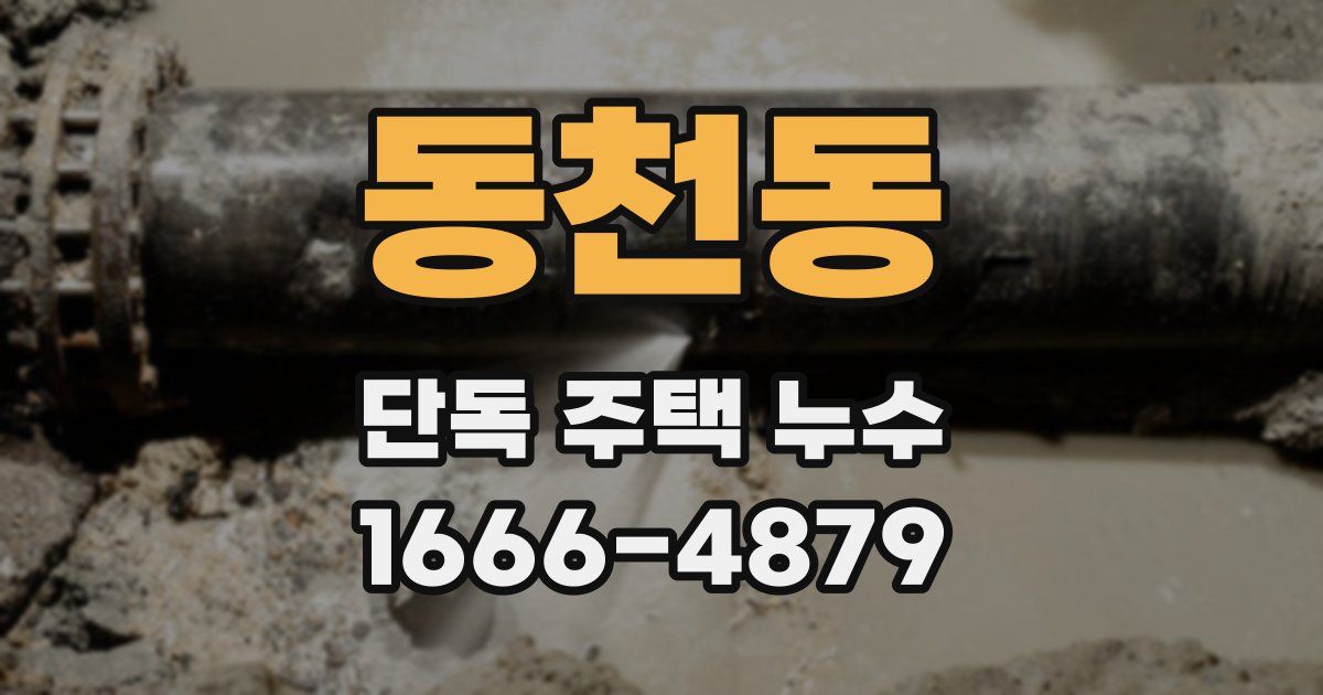 동천동 단독 주택 누수