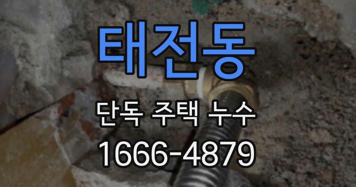 태전동 단독 주택 누수