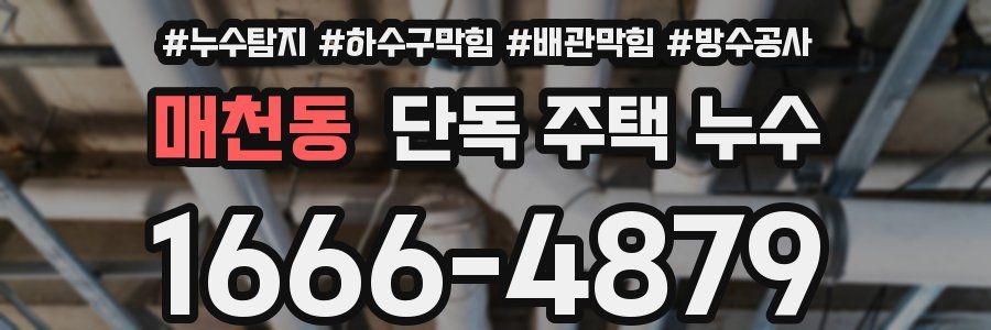 매천동 단독 주택 누수