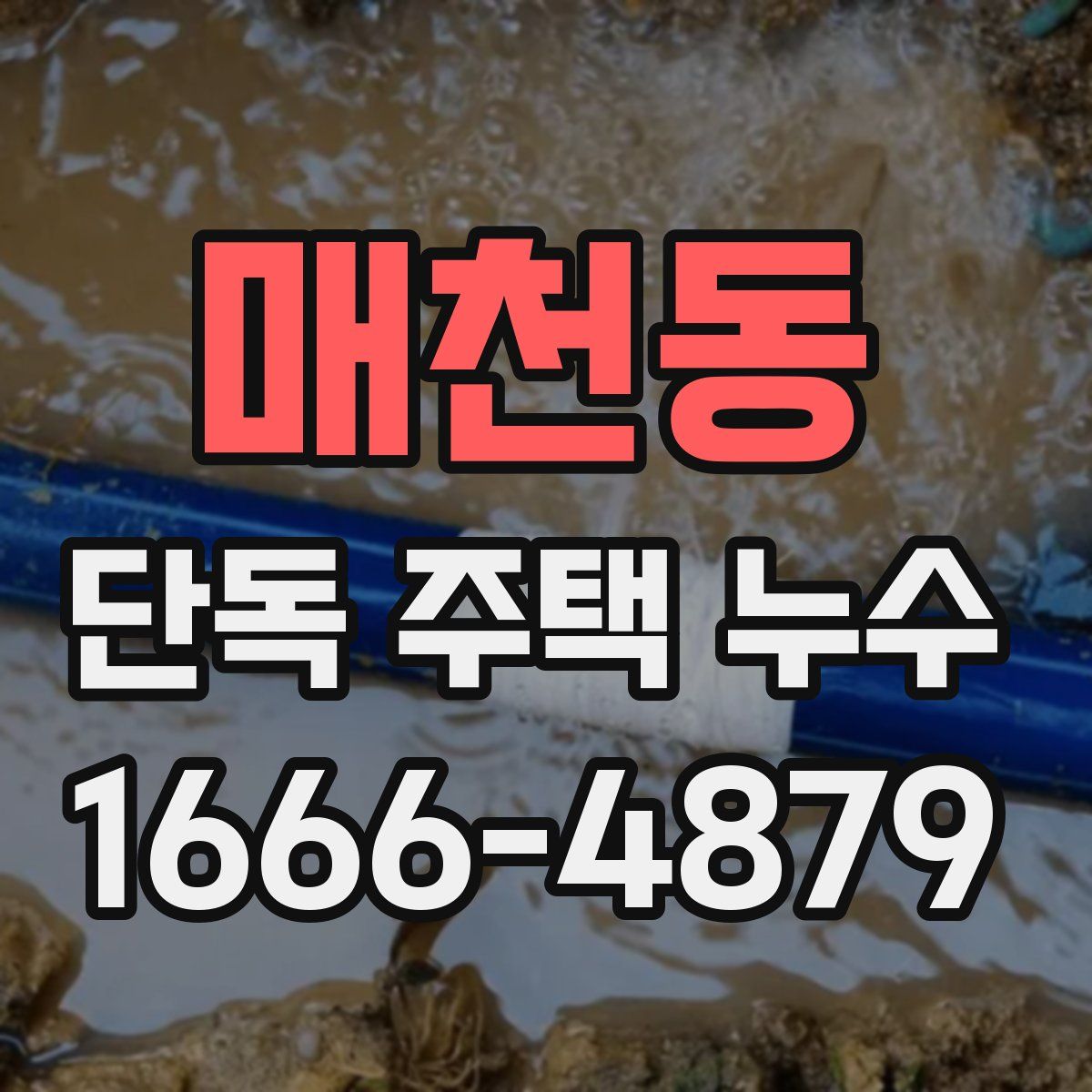 매천동 단독 주택 누수