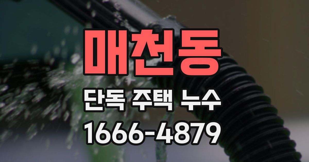 매천동 단독 주택 누수