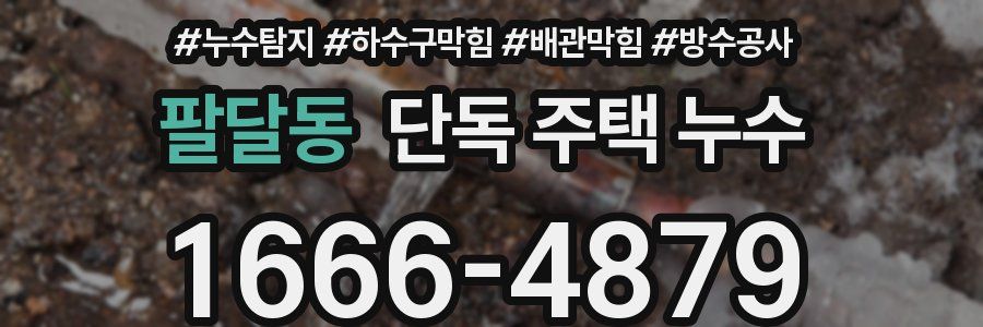 팔달동 단독 주택 누수