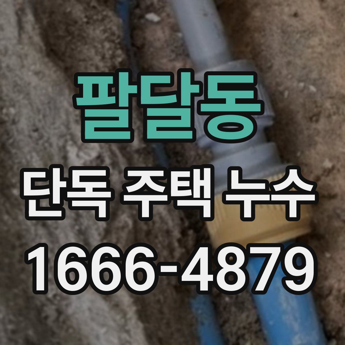 팔달동 단독 주택 누수