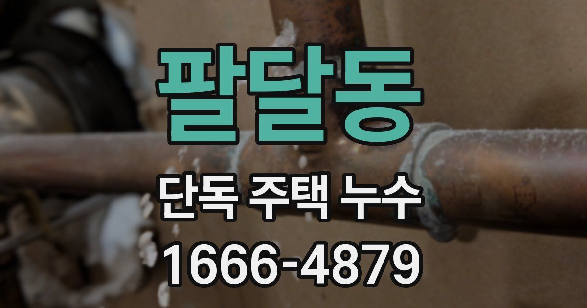 팔달동 단독 주택 누수