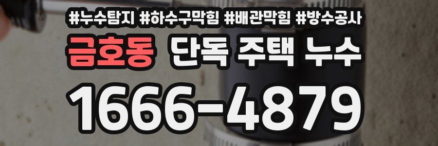 금호동 단독 주택 누수