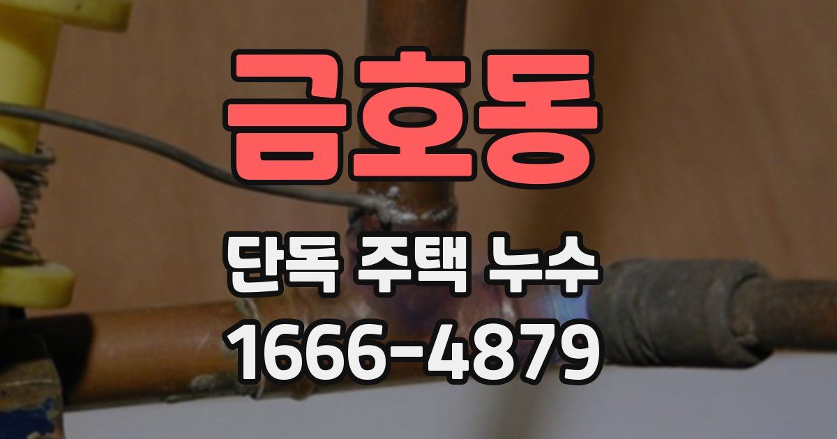 금호동 단독 주택 누수