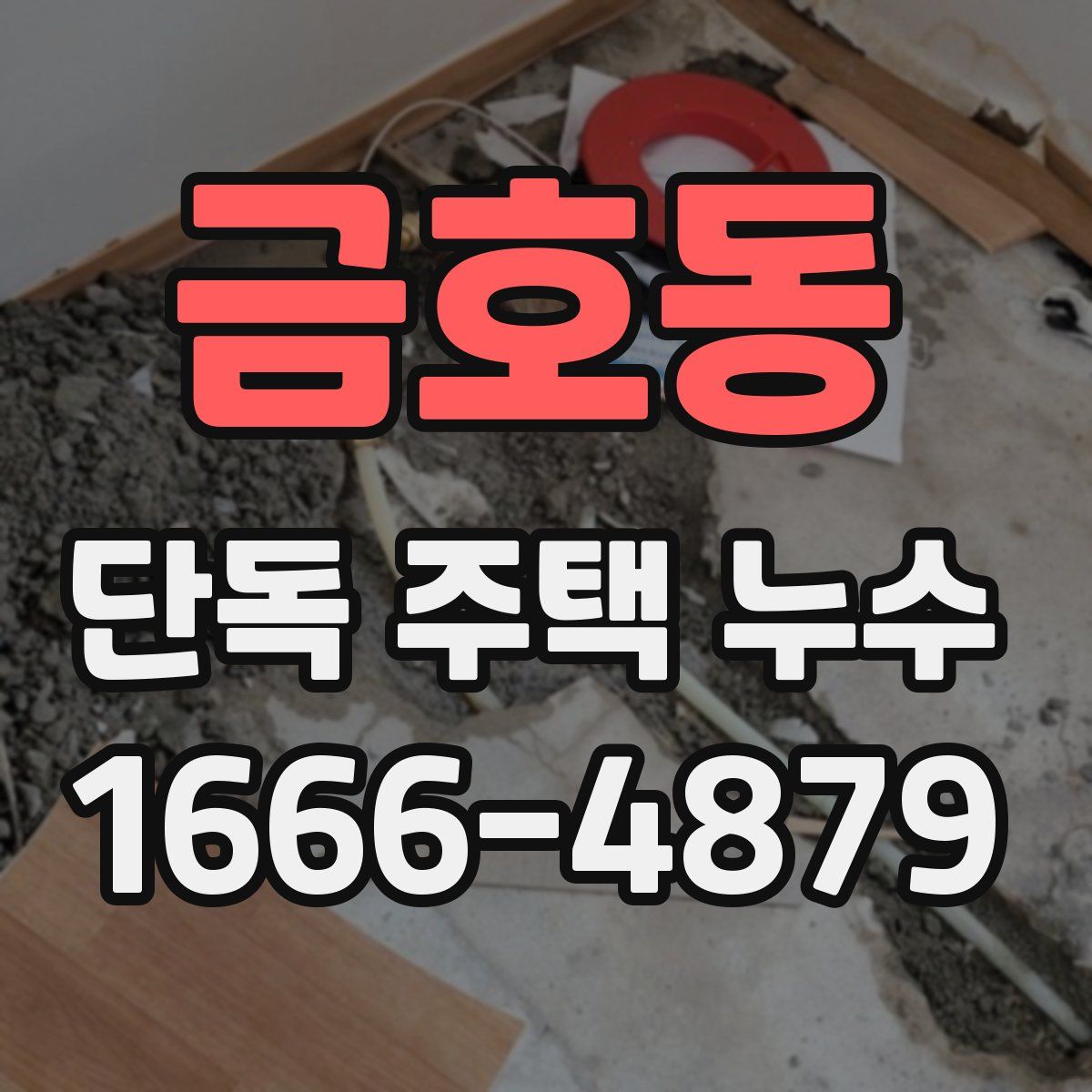 금호동 단독 주택 누수