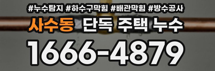 사수동 단독 주택 누수