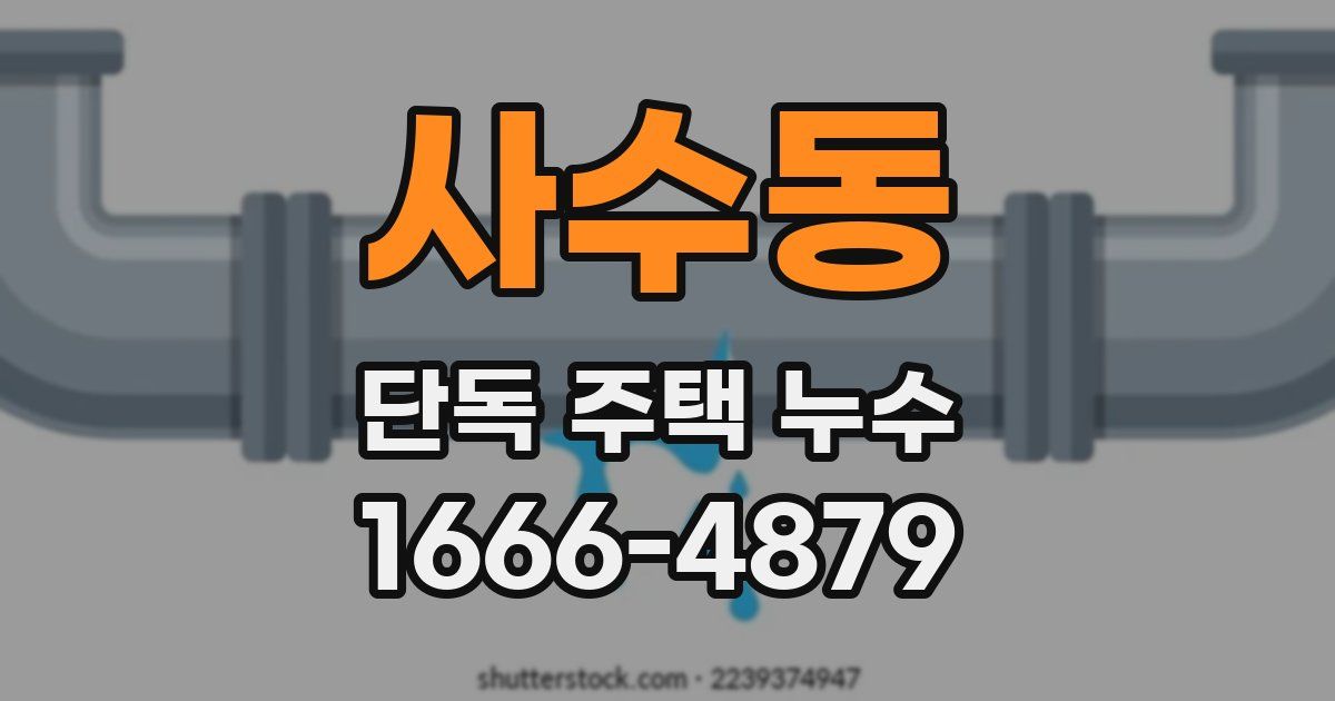 사수동 단독 주택 누수
