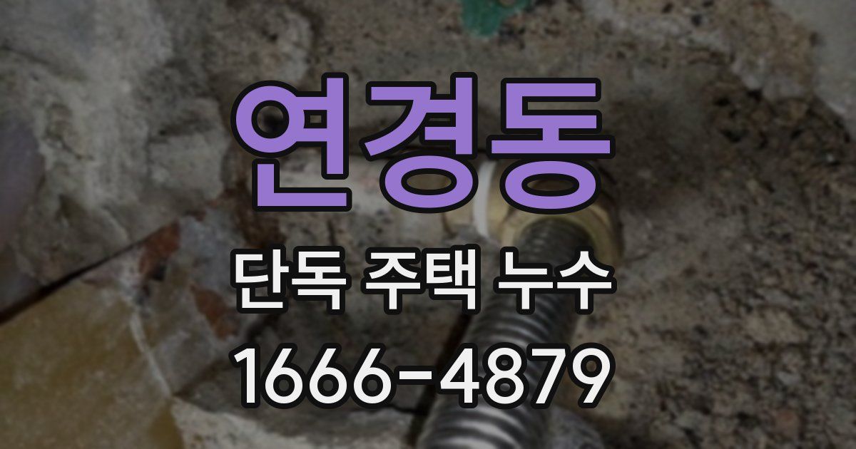 연경동 단독 주택 누수
