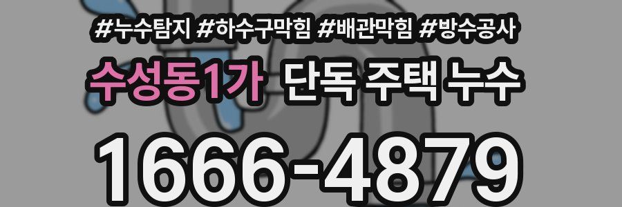 수성동1가 단독 주택 누수