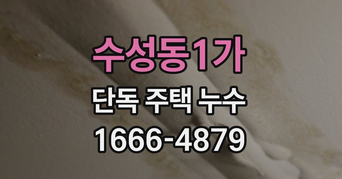 수성동1가 단독 주택 누수