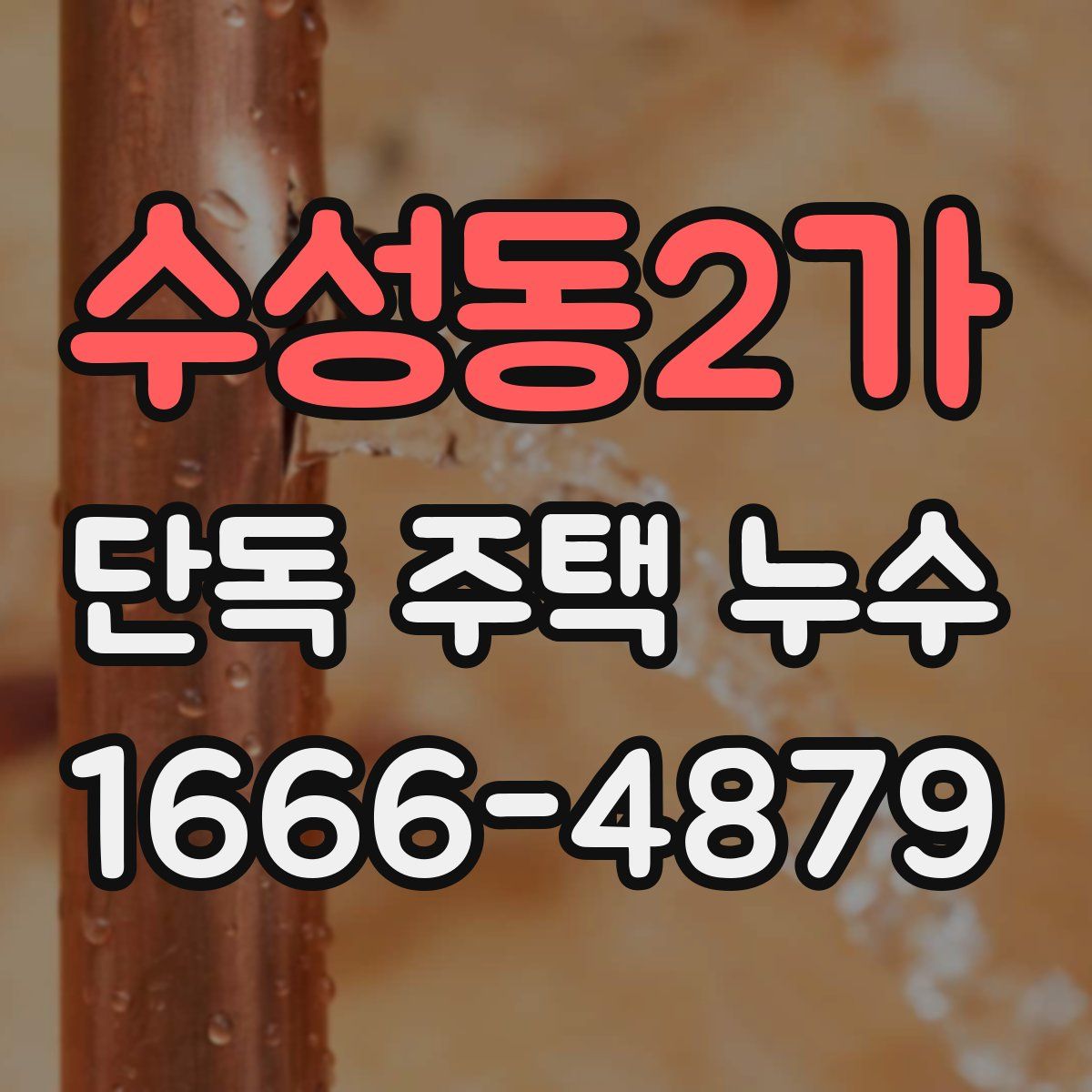 수성동2가 단독 주택 누수