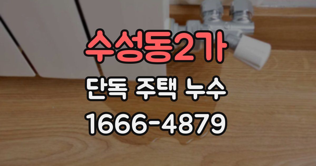 수성동2가 단독 주택 누수