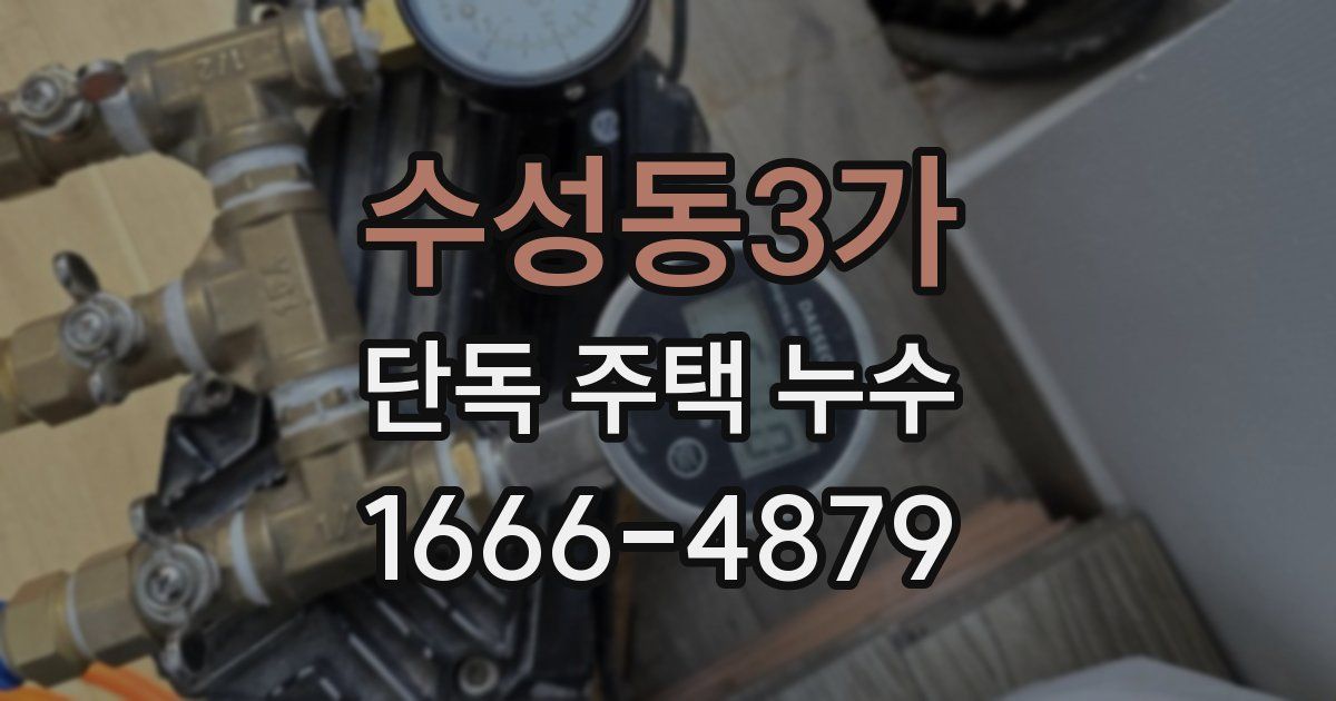 수성동3가 단독 주택 누수