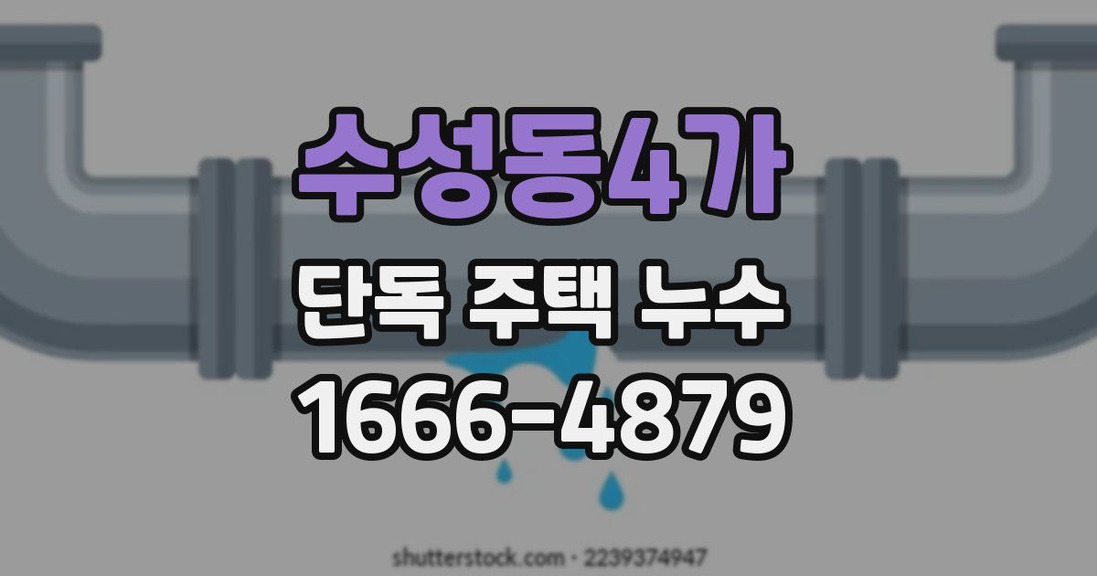 수성동4가 단독 주택 누수