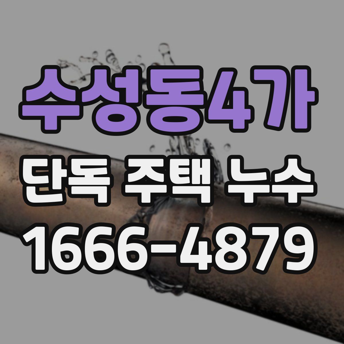 수성동4가 단독 주택 누수