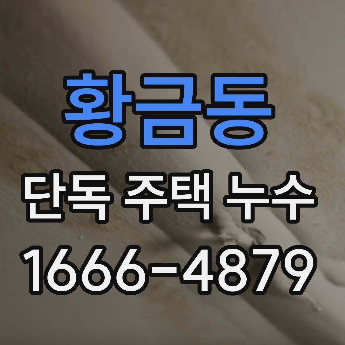 황금동 단독 주택 누수 의심 구간별 점검 방법