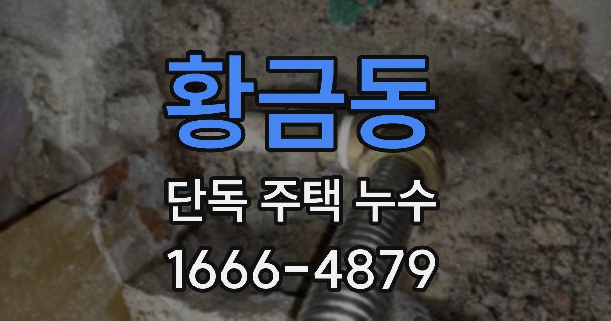 황금동 단독 주택 누수