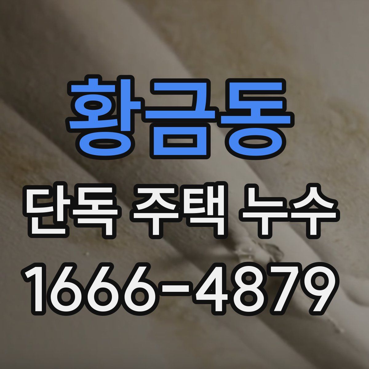 황금동 단독 주택 누수