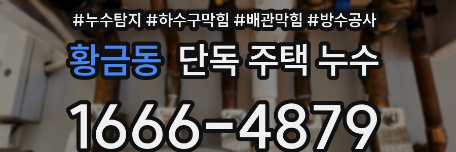 황금동 단독 주택 누수