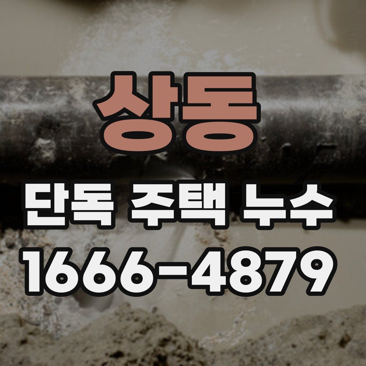 상동 단독 주택 누수