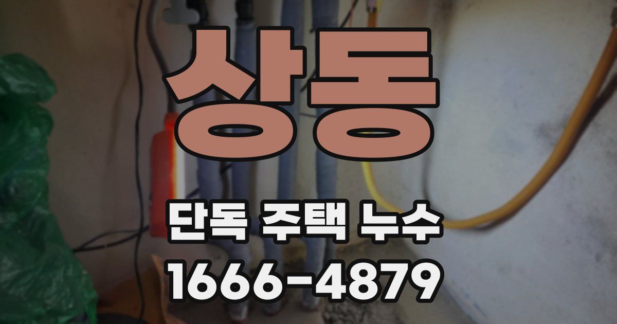 상동 단독 주택 누수
