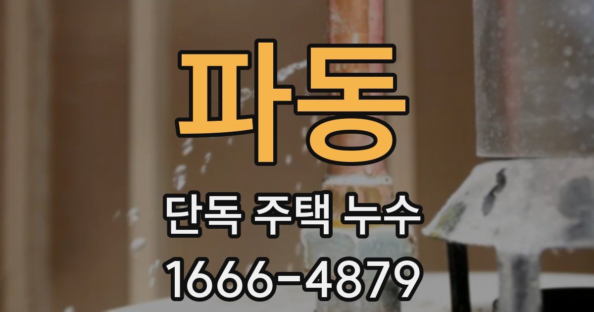 파동 단독 주택 누수