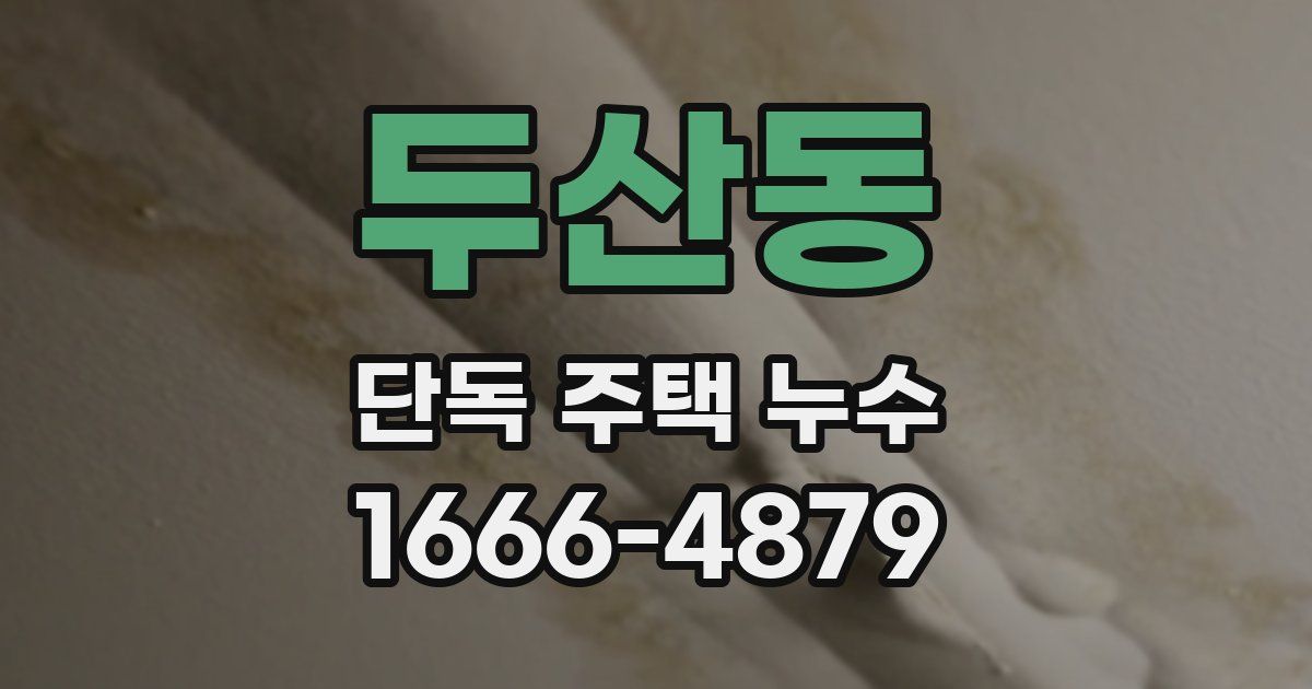 두산동 단독 주택 누수