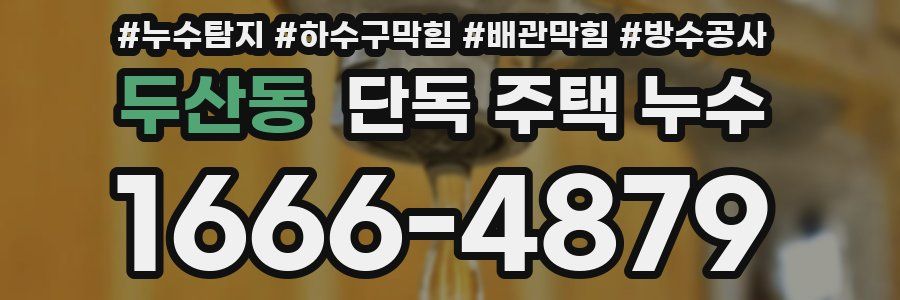 두산동 단독 주택 누수