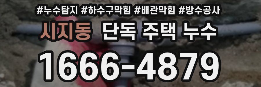 시지동 단독 주택 누수